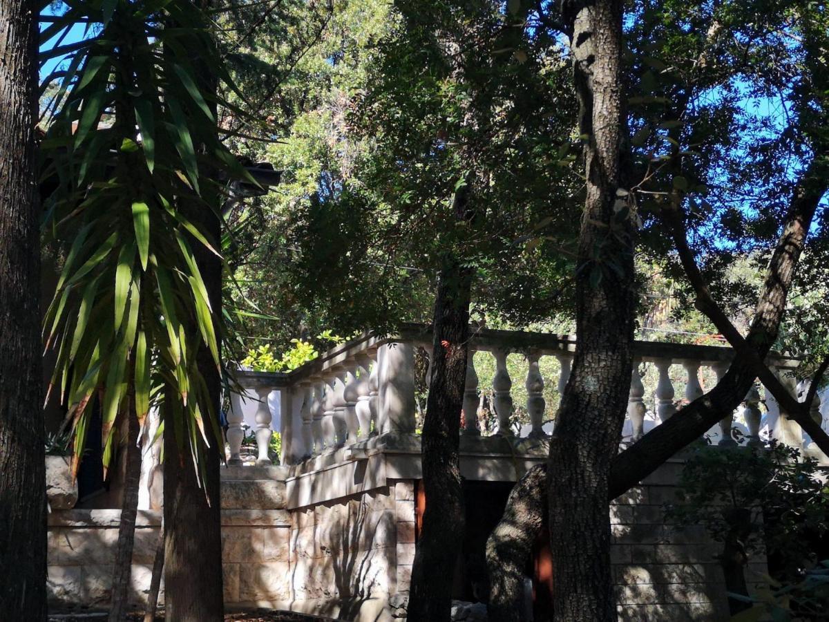 Bozo Holiday home *