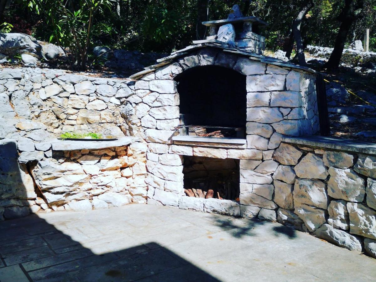 Bozo Holiday home Zrnovo